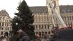 Le sapin de Noël est arrivé sur la Grand-Place de Bruxelles