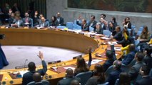 UN-Sicherheitsrat fordert 