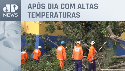 Download Video: Fortes chuvas causam queda de árvores e destroem rede elétrica em São Paulo