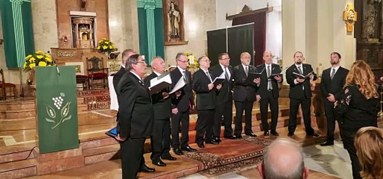 Ochote Langreano Perfidia