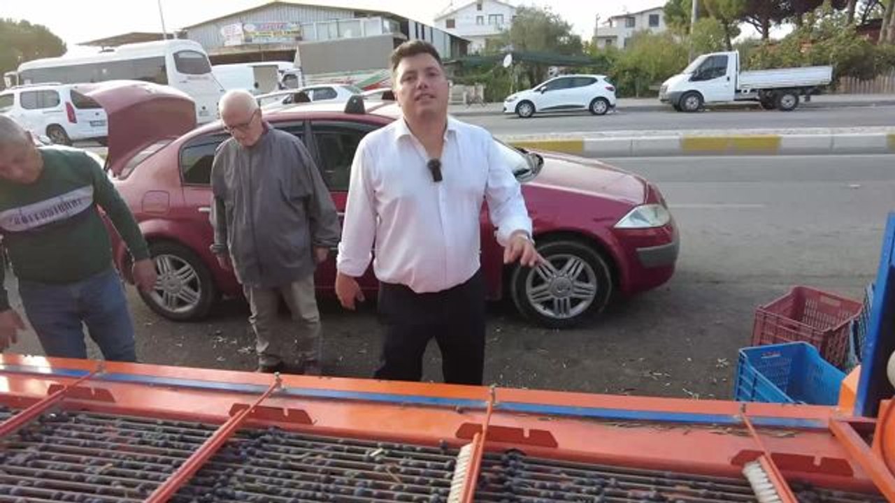 Ziraat Mühendisi Tüketicileri Hileli Zeytinyağına Karşı Uyardı