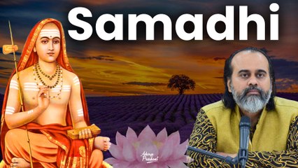 Are there various structured steps to Samadhi || Acharya Prashant, on Vivekchudamani (2018)