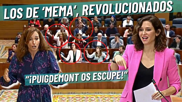 La ‘Mema’ Mónica García revoluciona su gallinero y Ayuso les baja los humos al soltarle esto de Puigdemont
