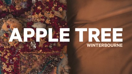 Winterbourne - Apple Tree (Official Audio)