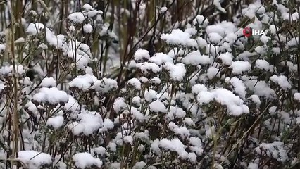 Bolu'ya mevsimin ilk karı yağdı
