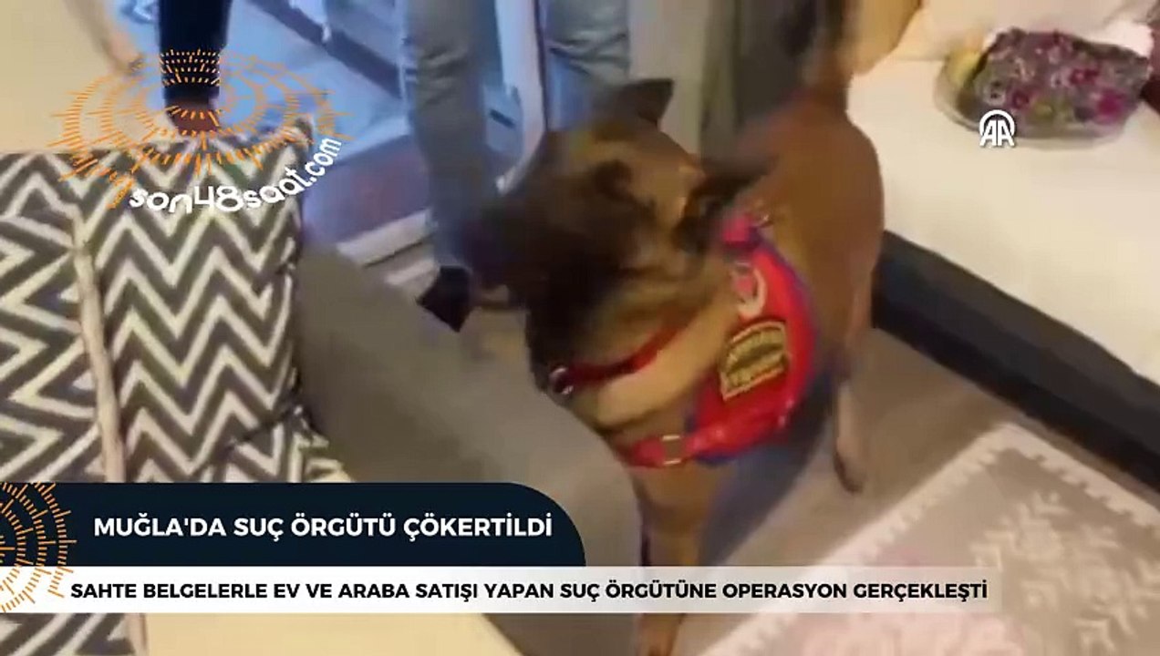 Suç örgütü çökertildi