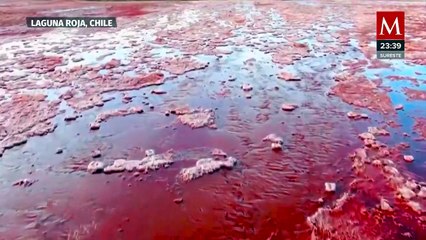 Video viral muestra agua roja en el Río Nilo, pero es la laguna Roja en Chile