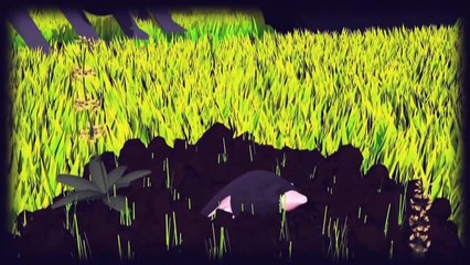 Videografik: Pestizide