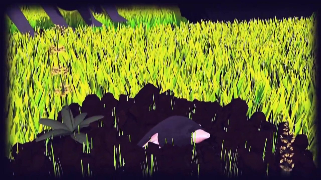 Videografik: Pestizide