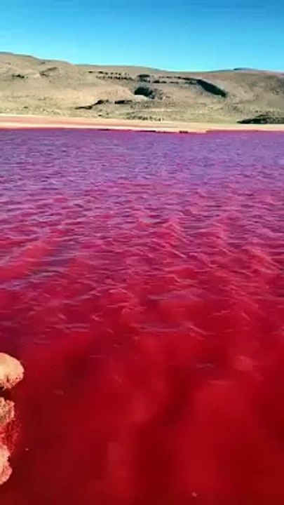Río Nilo luce color rojo