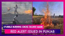 Stubble Burning: Total Farm Fires Cross 30,000 Mark In Punjab, State Declares Red Alert