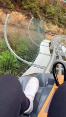 Rencontre avec des ours sur des montagnes russes