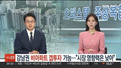 강남권 비아파트 갭투자 가능…"시장 영향력은 낮아"