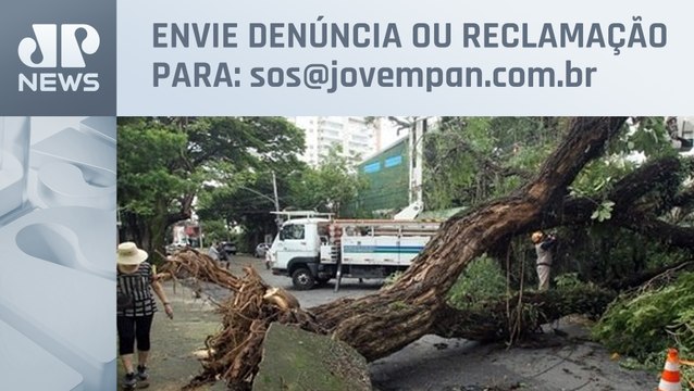 Planalto Paulista ainda tem consequências das fortes chuvas | SOS São Paulo