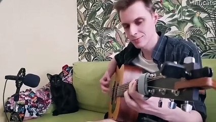 Cat chante du blues pendant que son propriétaire joue de la guitare