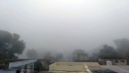 कोहरे से सर्दी का अहसास