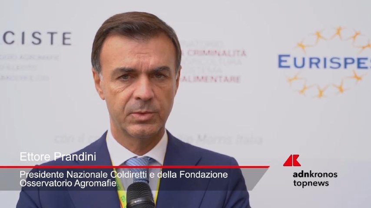 Prandini: “Italia punto di riferimento nella lotta alla contraffazione”