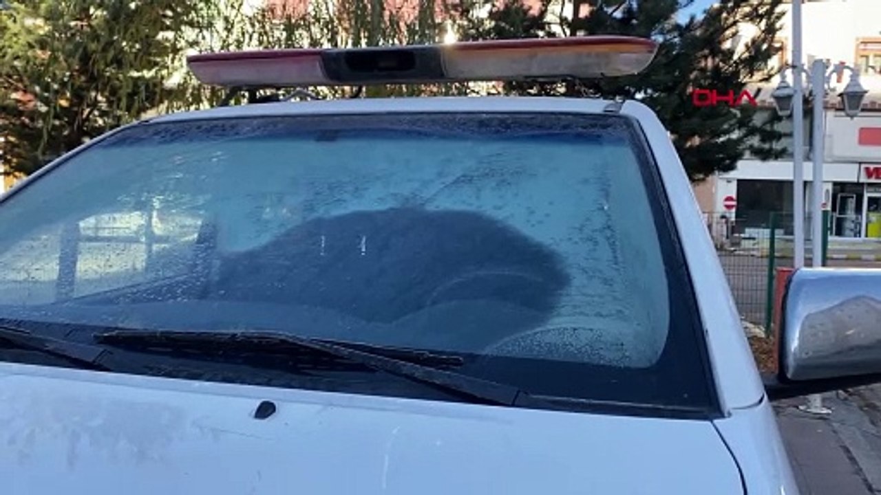 ARDAHAN'DA SOĞUK HAVA; CAMLAR DONDU, BİTKİLER KIRAĞI TUTTU