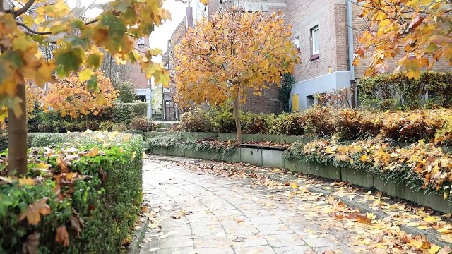 Dziennik zachodni / Zabytkowe osiedle nad Jamną w Mikołowie / reporter Tomasz Kawka