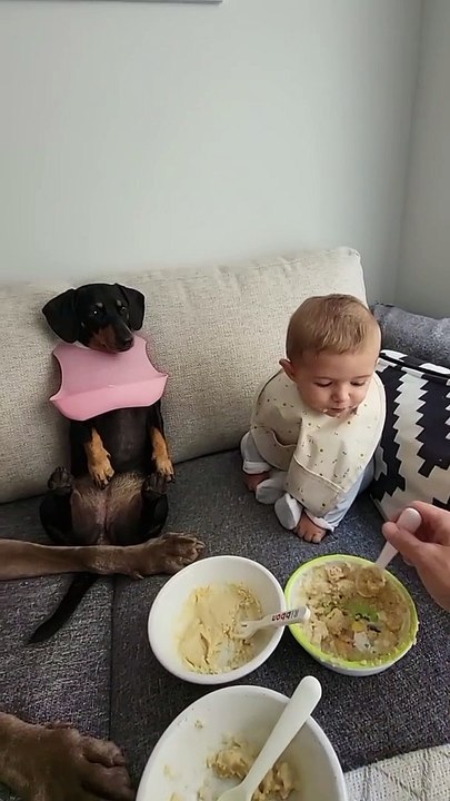 Déjeuner en famille