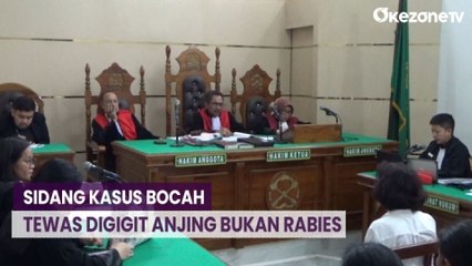 Bocah di Medan Tewas Digigit Anjing, Saksi Ahli Menyatakan Tak Ada Indikasi Rabies