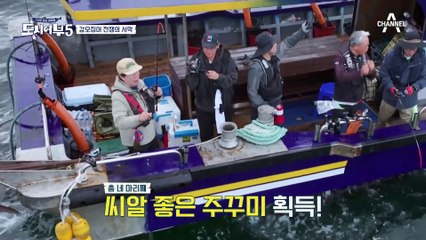 갑신 전략 따라 하자마자 온 입질?! 신 프로의 패턴대로 에기를 변경한 경규