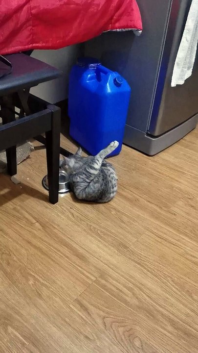 S'hydrater avec style