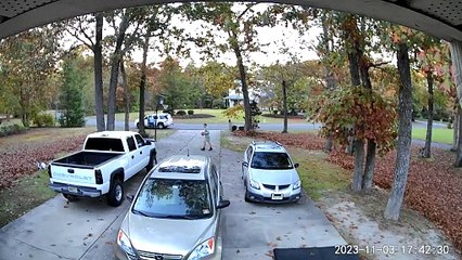 Un cerf bondissant endommage la caisse du camion pendant la vente