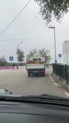 Les feuilles tombent de l'arrière du camion