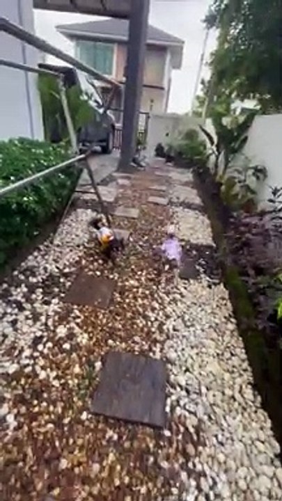 Le perroquet et les chiots sont les meilleurs amis