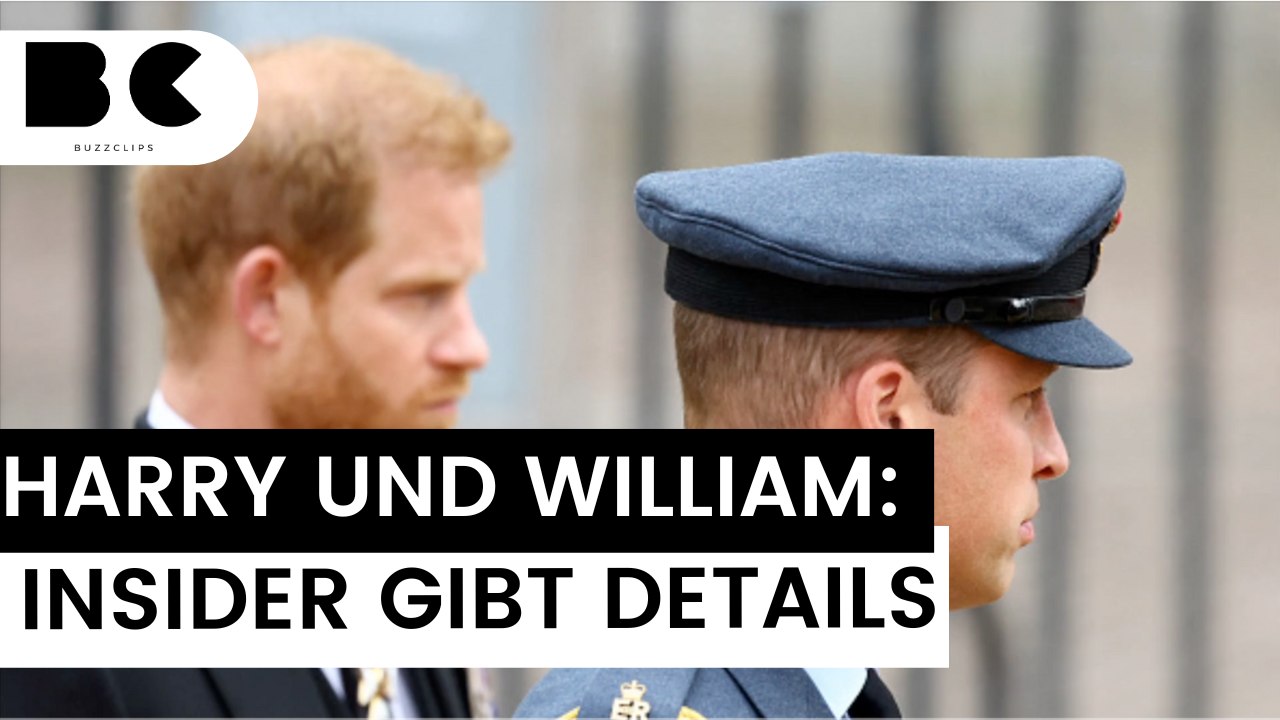 William und harry: "kein zurück" mehr