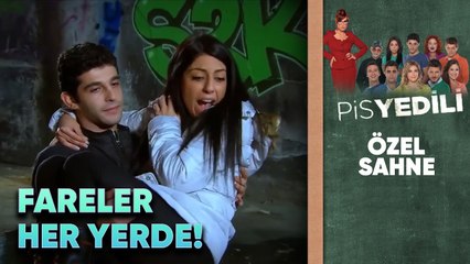 Pis Yedili Fare Toplama Görevinde! | Pis Yedili Özel Sahne