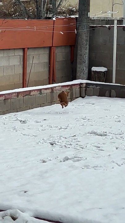 Caracoler dans la neige