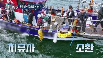 [#도시어부5]도시어부 역대 최고 수익! 갑오징어 다 죽었어~ 넣으면 잡히는 레전드 갑오징어 파티