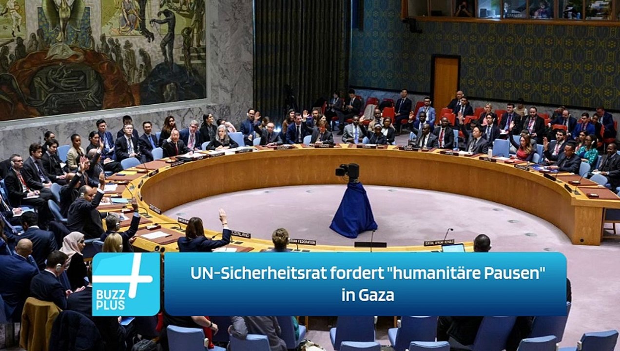 UN-Sicherheitsrat fordert 'humanitäre Pausen' in Gaza
