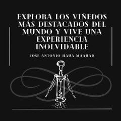 Jose Antonio Haua Maauad:  Explora los viñedos más destacados del mundo y vive una experiencia inolvidable