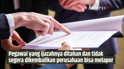 Segera Lakukan Ini saat Ijazah Ditahan oleh Perusahaan | SINAU