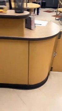 Ce chien est très prêt à rentrer chez lui