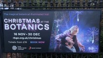 FIRST LOOK: Christmas At The Botanics 2023 is plants inspired wonderland