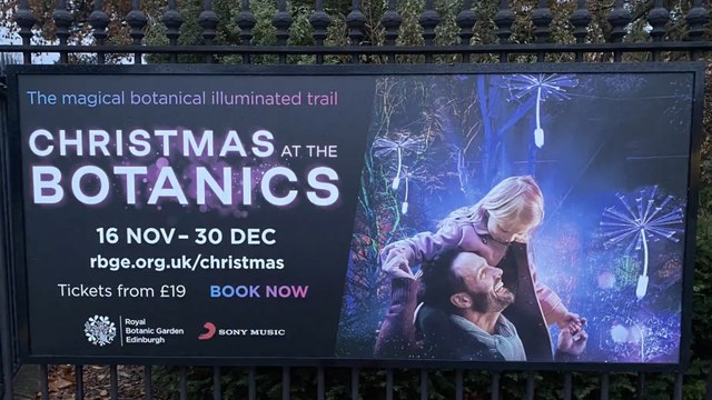 FIRST LOOK: Christmas At The Botanics 2023 is plants inspired wonderland