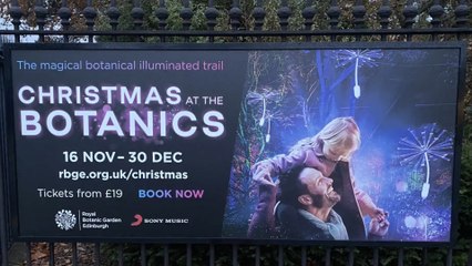 FIRST LOOK: Christmas At The Botanics 2023 is plants inspired wonderland