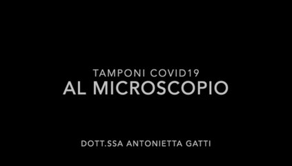 ANALISI CHIMICO FISICA DEI TAMPONI UTILIZZATI PER IL COVID19