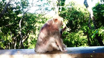 Beloved Mama Barry Showing Her Beautiful Gestures Toward Adorable Baby