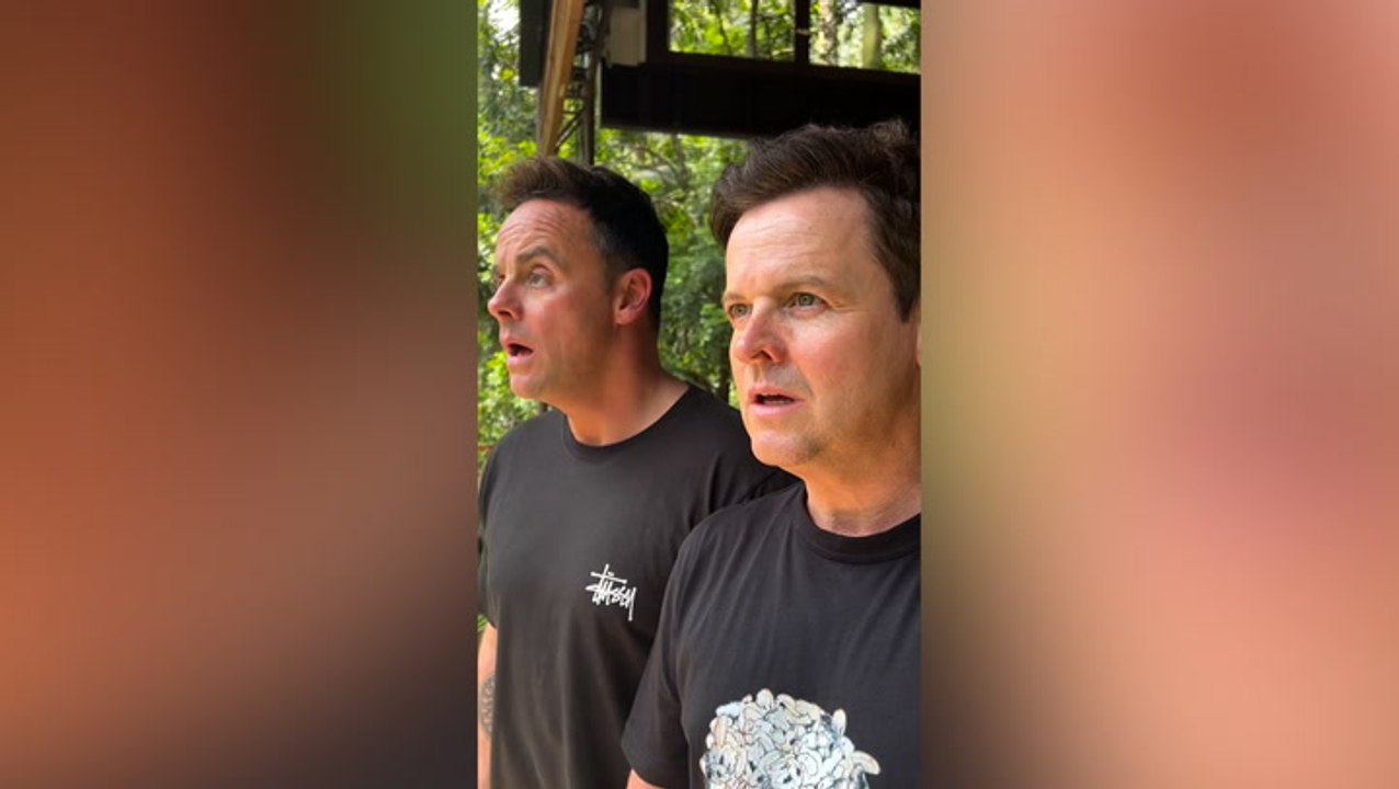 I’m A Celebrity 2023 first look: Ant and Dec appear surprised as they enter jungle