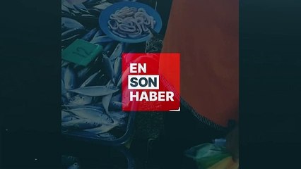 Tezgahtan balık kapıp kaçan kedi