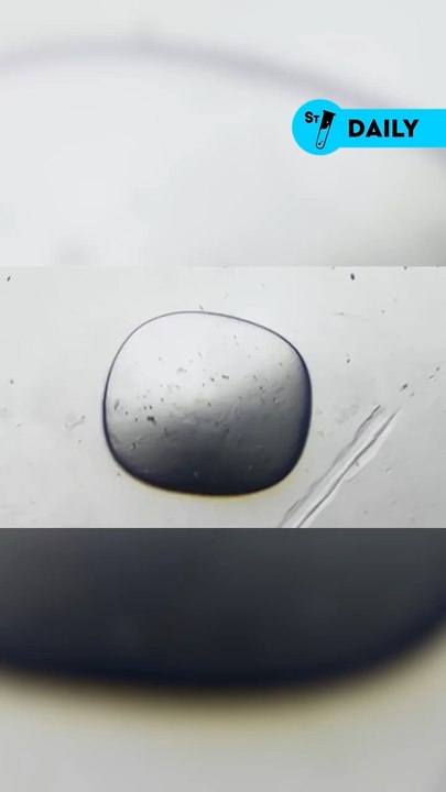 Du sel au microscope avec @niko.astro 