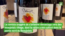 Beaujolais nouveau