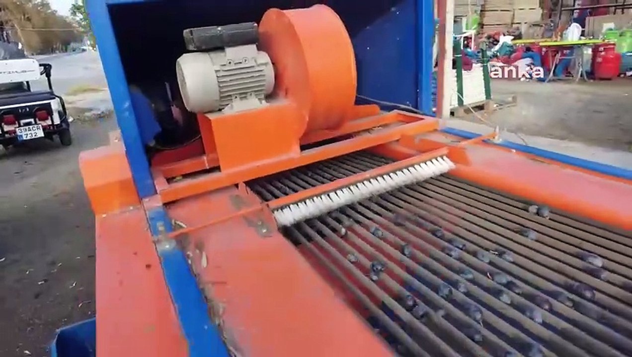 Ziraat mühendisi  sahte zeytinyağına karşı uyardı