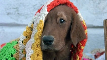 Lembranças de Outra Vida --1995