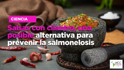 Salsas con cilantro, una posible alternativa para prevenir la salmonelosis